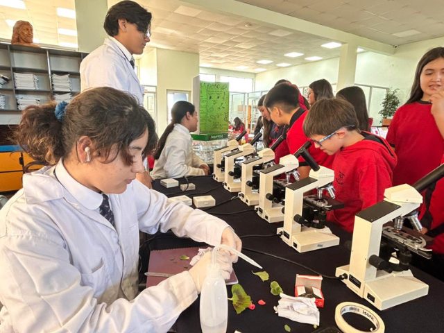 Innovación y experimentación marcaron la Muestra Científica 2025